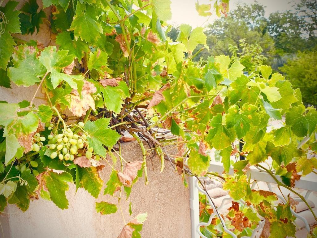 La Villa Des Ames Liees Draguignan Exterior foto